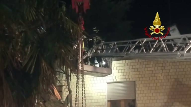 Forlì, l'albero cade davanti alla casa e blocca gli abitanti: intervengono i Vigili del fuoco VIDEO GALLERY Forlì, l'albero cade davanti alla casa e blocca gli abitanti: intervengono i Vigili del fuoco VIDEO GALLERY