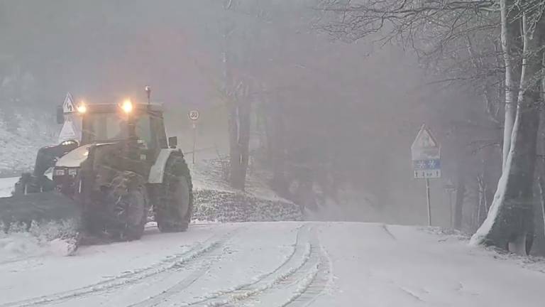 Campigna, aprile con neve al Passo della Calla VIDEO Campigna, aprile con neve al Passo della Calla VIDEO