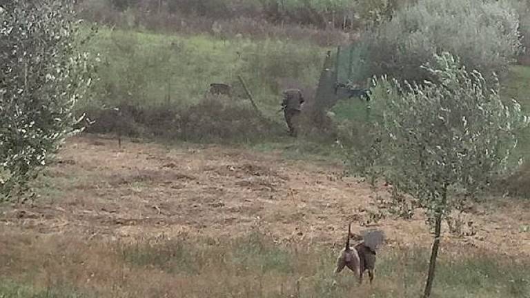 Cacciatore al castello degli Agolanti: a Riccione i cittadini hanno paura Cacciatore al castello degli Agolanti: a Riccione i cittadini hanno paura