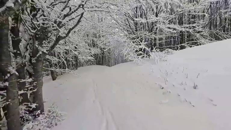 Neve d'aprile in Romagna da venerdì sull'Appennino VIDEO Neve d'aprile in Romagna da venerdì sull'Appennino VIDEO