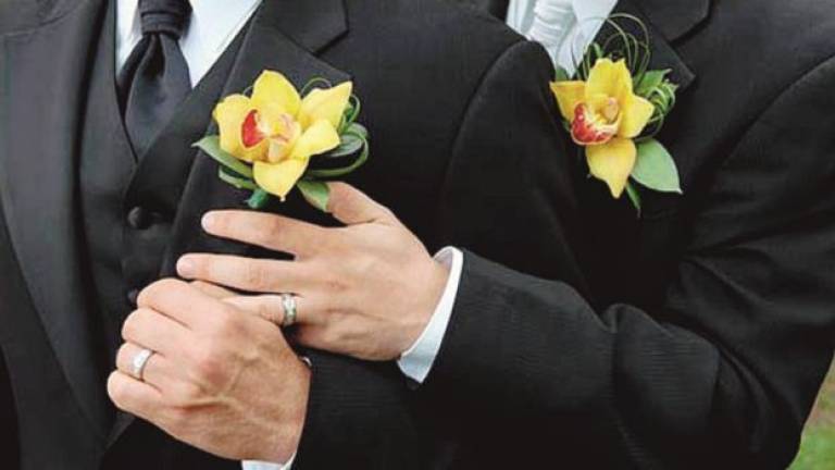 Ecri: «Unioni gay, per il Titano la priorità è dare normativa» Ecri: «Unioni gay, per il Titano la priorità è dare normativa»