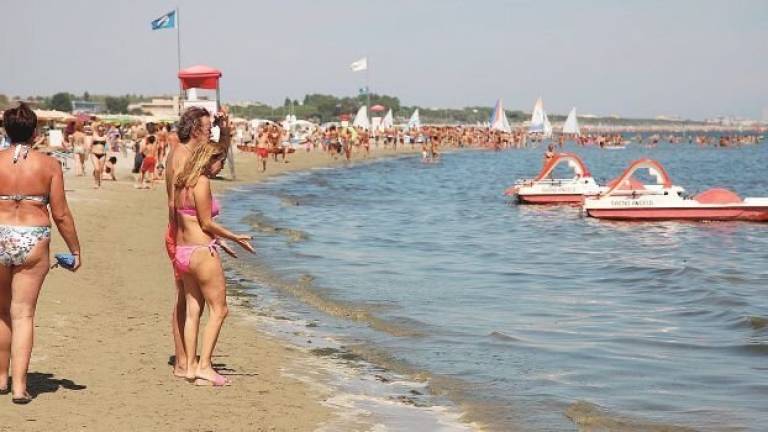Marea verde, a Cesenatico già raccolte 2.367 tonnellate di macroalghe Marea verde, a Cesenatico già raccolte 2.367 tonnellate di macroalghe