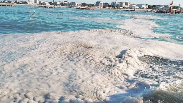 Schiume e alghe in mare per piogge e scarichi fiumi Schiume e alghe in mare per piogge e scarichi fiumi