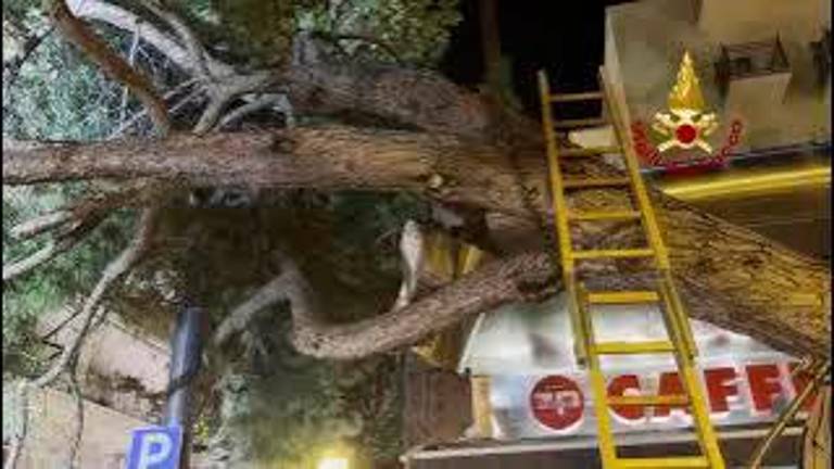 Maltempo a Rimini, 62 interventi dei Vigili del Fuoco: decine di richieste di soccorso in coda VIDEO Maltempo a Rimini, 62 interventi dei Vigili del Fuoco: decine di richieste di soccorso in coda VIDEO