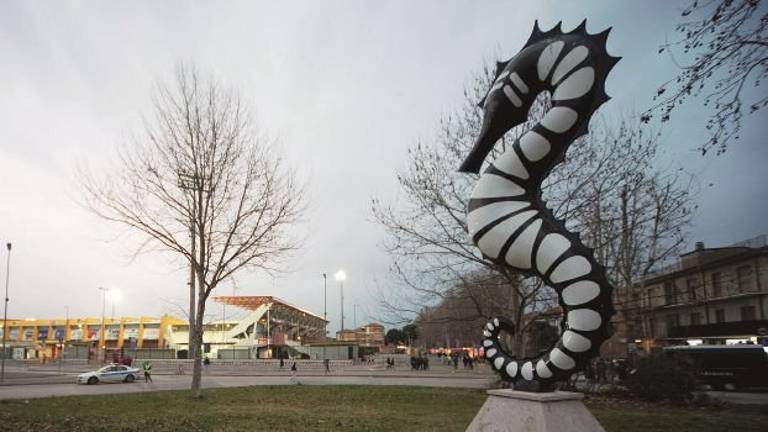 Cesena calcio, il Comune: rinnovare la licenza per il Cavalluccio Cesena calcio, il Comune: rinnovare la licenza per il Cavalluccio