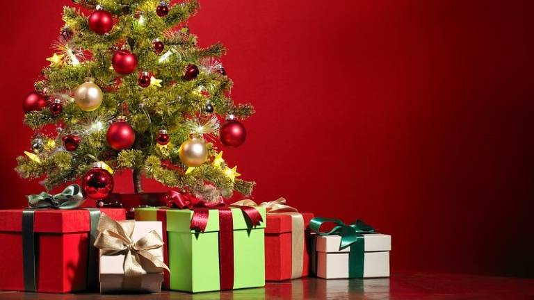 Forlimpopoli, gioco di squadra per le scatole di Natale Forlimpopoli, gioco di squadra per le scatole di Natale