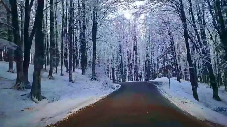 Riecco la neve sul Monte Fumaiolo VIDEO Riecco la neve sul Monte Fumaiolo VIDEO