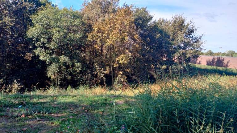 Un’area segnalata da Castiglia come incompiuta Un’area segnalata da Castiglia come incompiuta