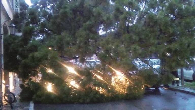 Maltempo estate 2017 a Ravenna, al via la richiesta di contributo per i danni Maltempo estate 2017 a Ravenna, al via la richiesta di contributo per i danni