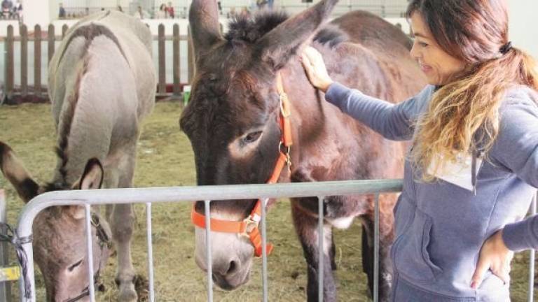 Per due giorni la Fiera di Forlì diventa un’arca di Noè Per due giorni la Fiera di Forlì diventa un’arca di Noè