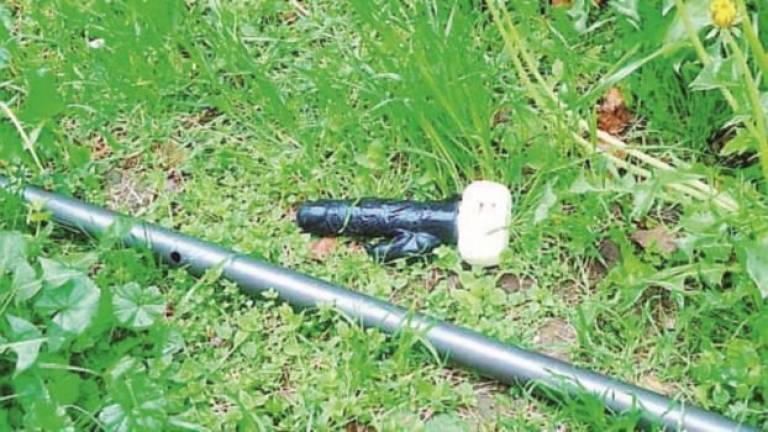 Il sex toy abbandonato in centro a Cesena è ancora nel giardinetto Il sex toy abbandonato in centro a Cesena è ancora nel giardinetto