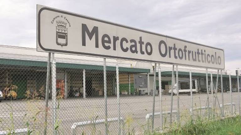 Per il mercato ortofrutticolo di Cesena bilancio di fine anno positivo Per il mercato ortofrutticolo di Cesena bilancio di fine anno positivo