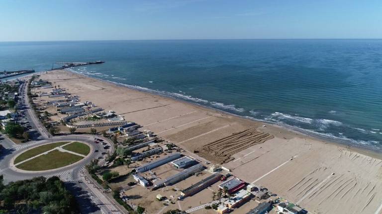 Mare Adriatico in gran forma, con tonni e delfini Mare Adriatico in gran forma, con tonni e delfini