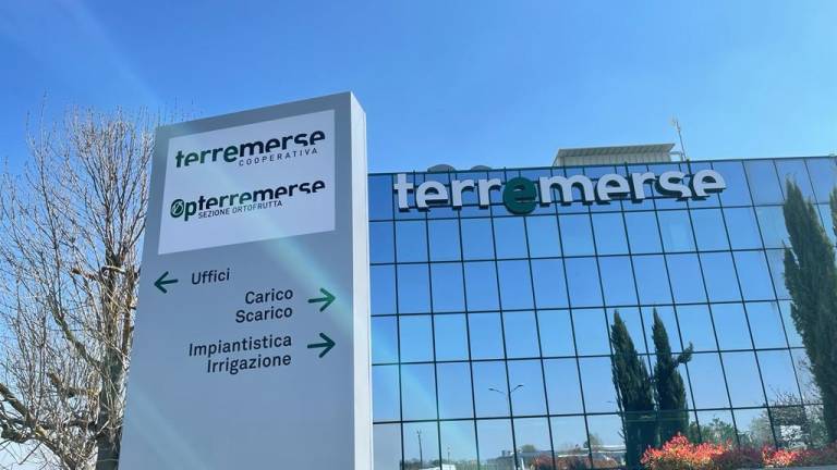 Lavoro a Bagnacavallo, Terremerse: cresce il fatturato e nuove assunzioni Lavoro a Bagnacavallo, Terremerse: cresce il fatturato e nuove assunzioni