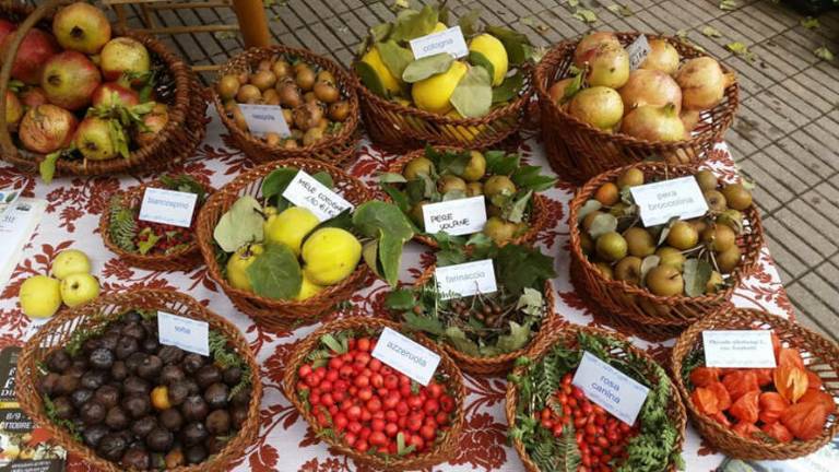Casola, il 25 aprile la festa Cantieri per finanziare i carri Casola, il 25 aprile la festa Cantieri per finanziare i carri