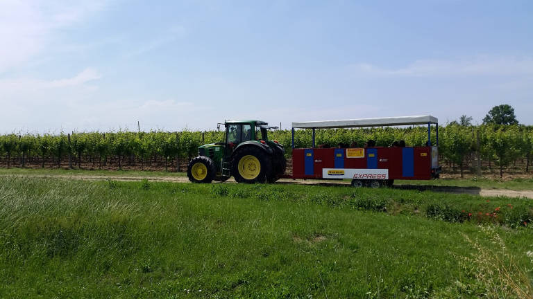 Vendemmia on the road a Oriolo dei Fichi con il Trat-Tour Vendemmia on the road a Oriolo dei Fichi con il Trat-Tour