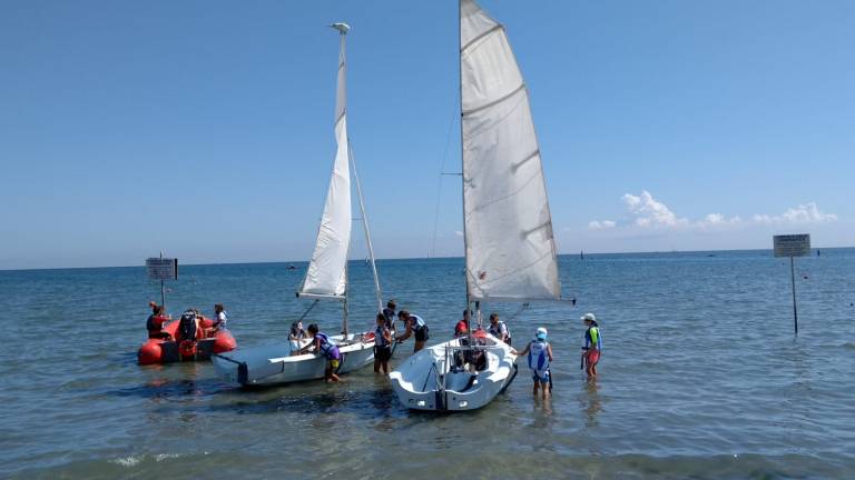 Cesenatico, liberati in mare decine di riproduttori di anguilla Cesenatico, liberati in mare decine di riproduttori di anguilla