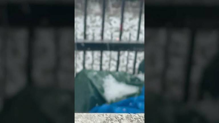 Violenta grandinata a Forlimpopoli Violenta grandinata a Forlimpopoli