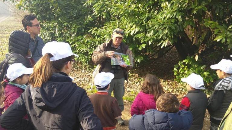 Ravenna, Occhio verde: tre giornate in mezzo alla natura dedicate ai bambini Ravenna, Occhio verde: tre giornate in mezzo alla natura dedicate ai bambini