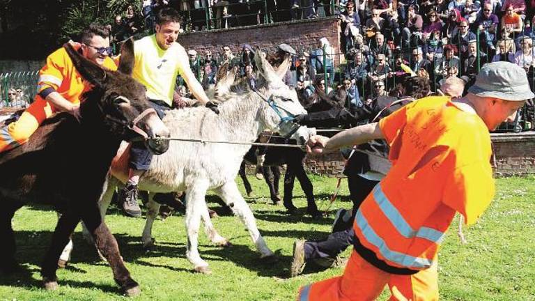 “Piè fritta”: in migliaia alla sagra di Fontanelice “Piè fritta”: in migliaia alla sagra di Fontanelice