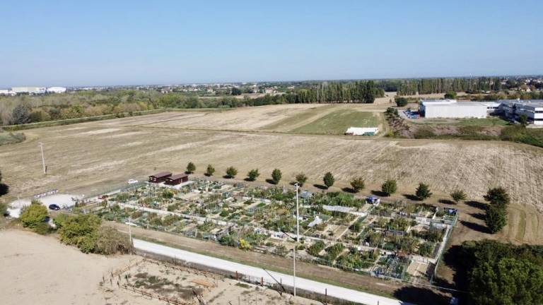 Cesena: nuovo bosco urbano da 3.000 piante nell’area verde di Sant’Anna Cesena: nuovo bosco urbano da 3.000 piante nell’area verde di Sant’Anna
