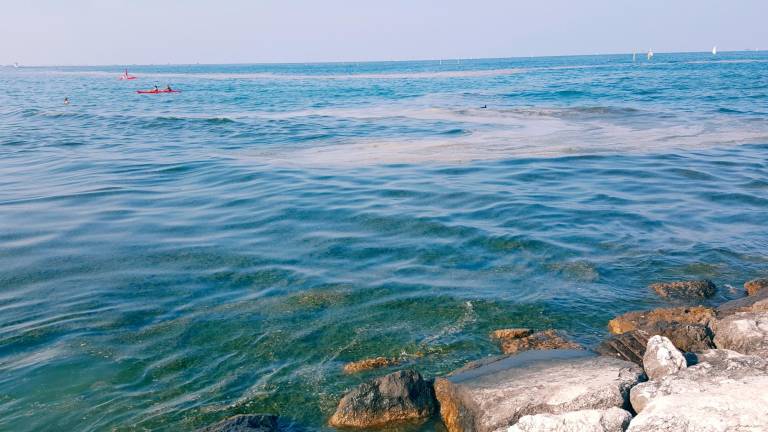 Una chiazza di mucillagine in mare Una chiazza di mucillagine in mare