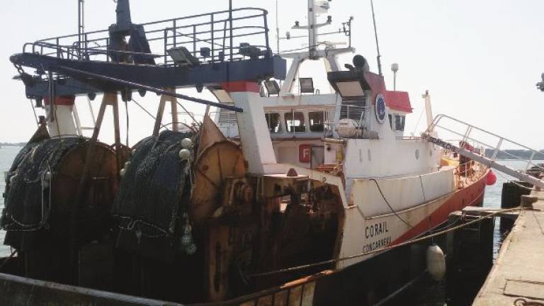 Il settore pesca respira ma deve risollevarsi Il settore pesca respira ma deve risollevarsi