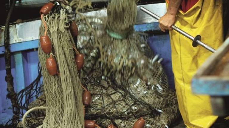 Fermo pesca finito, a Cesenatico barche già in mare Fermo pesca finito, a Cesenatico barche già in mare