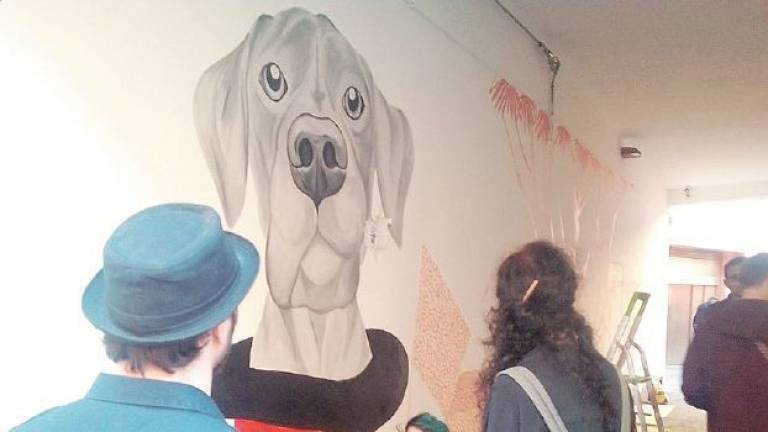 Operazione murales, la nuova corte piace ai cesenati Operazione murales, la nuova corte piace ai cesenati
