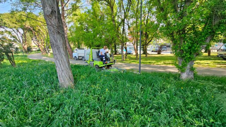 Erba alta: Riccione e Geat anticipano gli sfalci Erba alta: Riccione e Geat anticipano gli sfalci