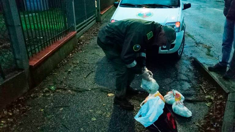 Forlimpopoli, rifiuti abbandonati: già 30 multe Forlimpopoli, rifiuti abbandonati: già 30 multe
