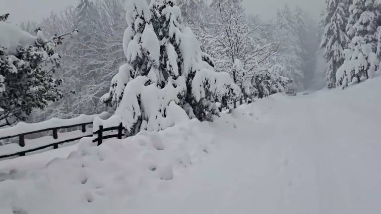 Meteo Romagna, verso un week-end di sole per godersi la neve sull'Appennino VIDEO Meteo Romagna, verso un week-end di sole per godersi la neve sull'Appennino VIDEO