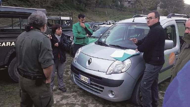 Cervi e lupi, volontari al lavoro di notte per censirli nel Parco delle Foreste Casentinesi Cervi e lupi, volontari al lavoro di notte per censirli nel Parco delle Foreste Casentinesi