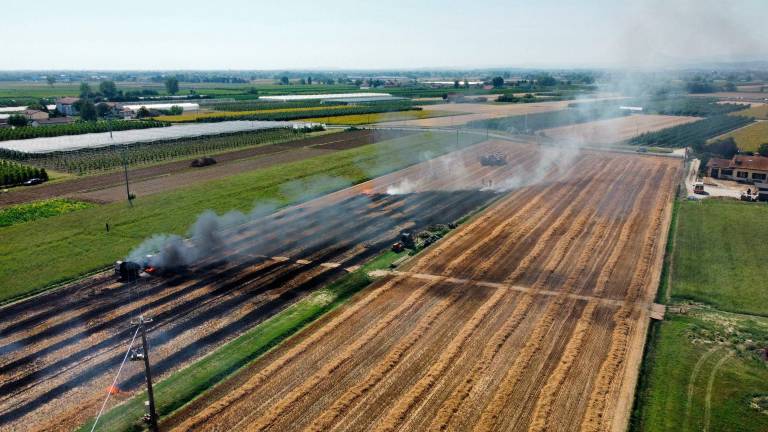 Cesena, campo coltivato a fuoco per un guasto di una macchina agricola Cesena, campo coltivato a fuoco per un guasto di una macchina agricola