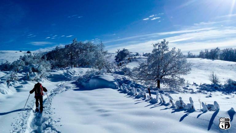 I podoeroi impegnati con le ciaspole nella zona del monte Fumaiolo I podoeroi impegnati con le ciaspole nella zona del monte Fumaiolo
