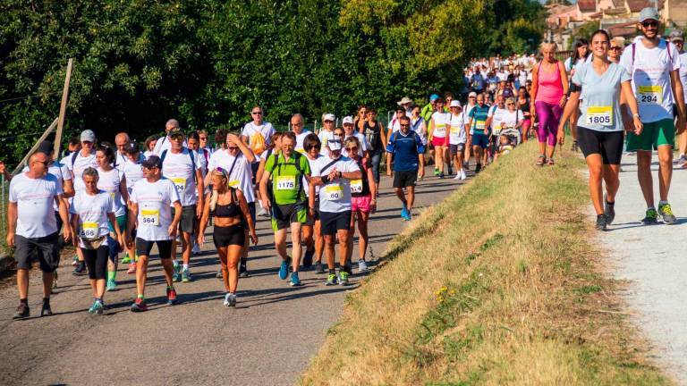 Camminatori alla maratona Alzheimer Camminatori alla maratona Alzheimer