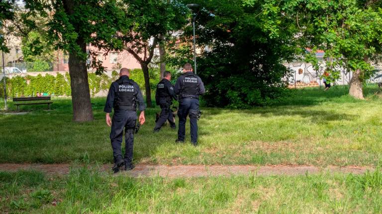 Rimini, si prendono a pugni al Parco Cervi mentre sta passando la Polizia Rimini, si prendono a pugni al Parco Cervi mentre sta passando la Polizia