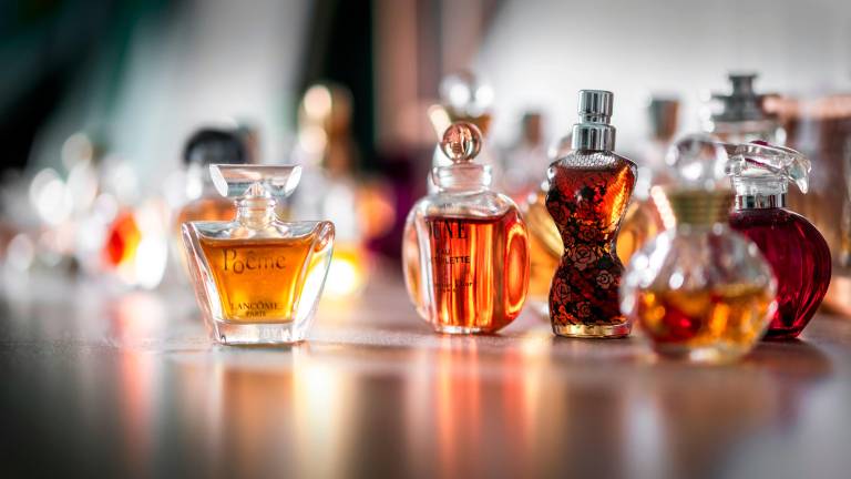 Ravenna, colta sul fatto a rubare profumi in centro: arrestata dalla Polizia Ravenna, colta sul fatto a rubare profumi in centro: arrestata dalla Polizia