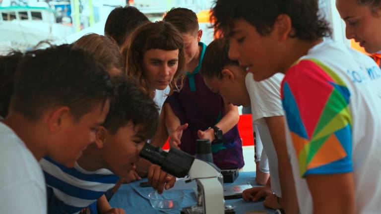 Riccione, “Giornata mondiale degli oceani”: le iniziative di Fondazione Cetacea Riccione, “Giornata mondiale degli oceani”: le iniziative di Fondazione Cetacea