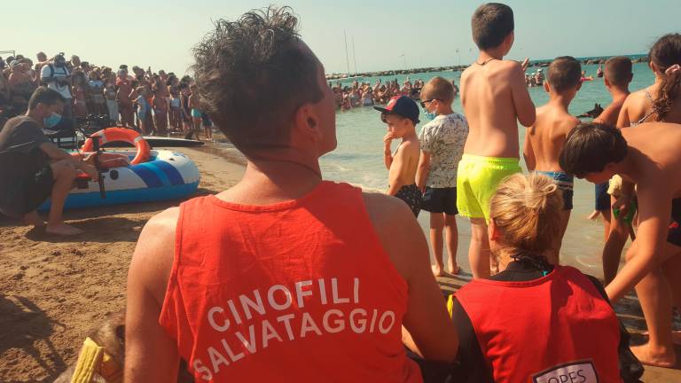 Cattolica. Spiagge sicure con i cani da salvataggio Cattolica. Spiagge sicure con i cani da salvataggio