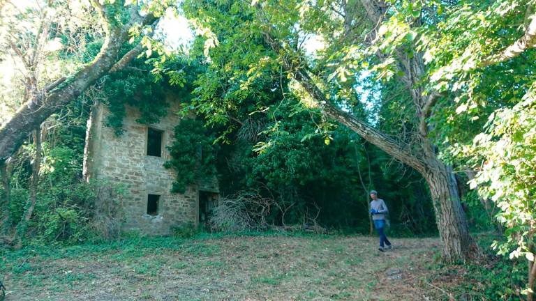 Il fascino dei “giganti di pietra”, un viaggio nei borghi abbandonati in Romagna