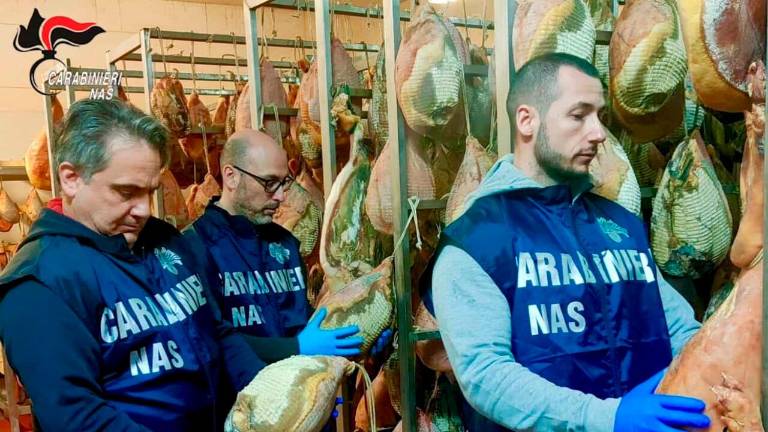 Cesena, carni e insaccati scaduti da anni, multe per 12mila euro al salumificio Cesena, carni e insaccati scaduti da anni, multe per 12mila euro al salumificio