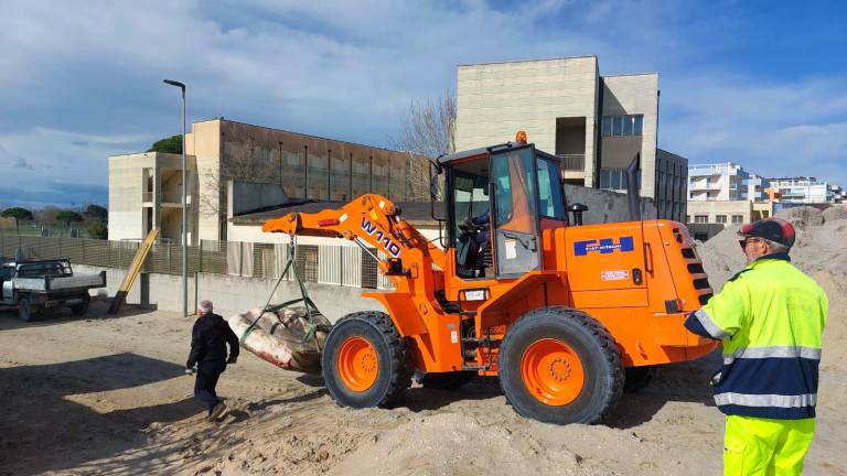 Cesenatico, rimossa la carcassa del pesce luna spiaggiato Cesenatico, rimossa la carcassa del pesce luna spiaggiato