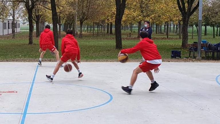 Basket A2, il vivaio della Pallacanestro 2.015 non vuole arrendersi Basket A2, il vivaio della Pallacanestro 2.015 non vuole arrendersi