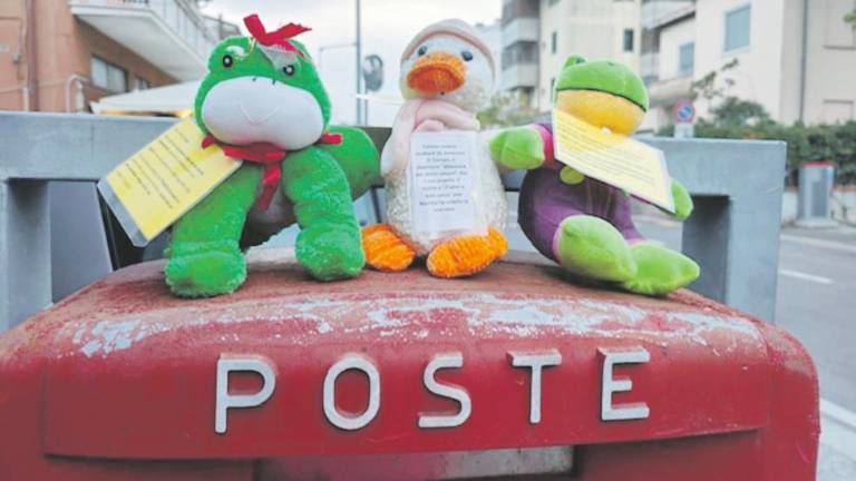 Rimini, i peluche e il messaggio di pace Rimini, i peluche e il messaggio di pace