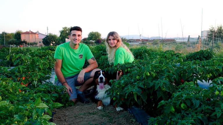 I coltivatori di peperoncini e altri prodotti agricoli I coltivatori di peperoncini e altri prodotti agricoli