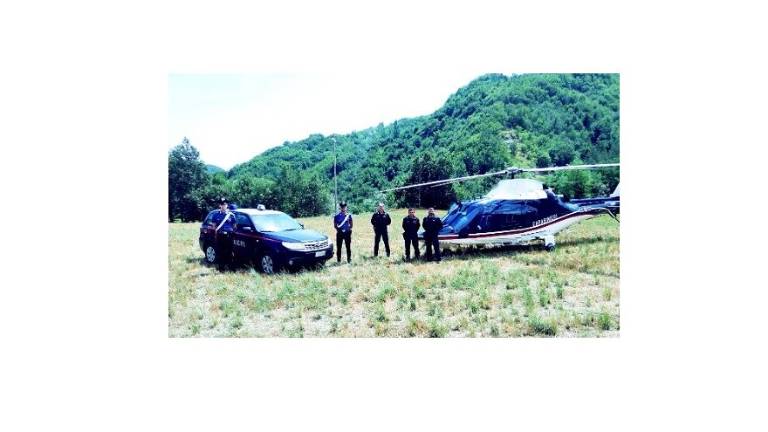 Santa Sofia, aumentano i controlli dei Carabinieri sulla Bidentina per prevenire gli incidenti Santa Sofia, aumentano i controlli dei Carabinieri sulla Bidentina per prevenire gli incidenti