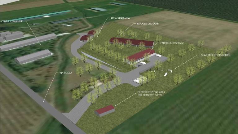 Faenza, a giugno inaugura il nuovo Rifugio del Cane dell'Enpa Faenza, a giugno inaugura il nuovo Rifugio del Cane dell'Enpa
