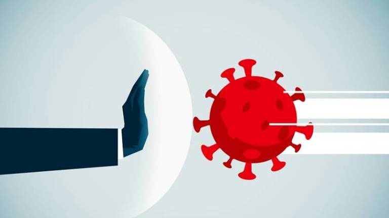 Coronavirus, a Ravenna nessun morto e un solo nuovo contagio Coronavirus, a Ravenna nessun morto e un solo nuovo contagio