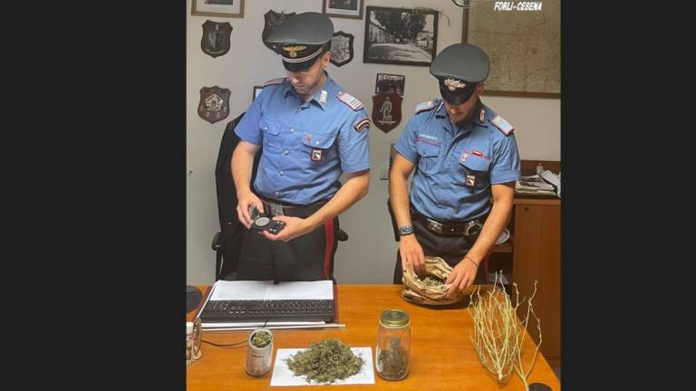 Che strano odore dai vestiti: i Carabinieri scoprono il laboratorio di marijuana a Rocca San Casciano Che strano odore dai vestiti: i Carabinieri scoprono il laboratorio di marijuana a Rocca San Casciano